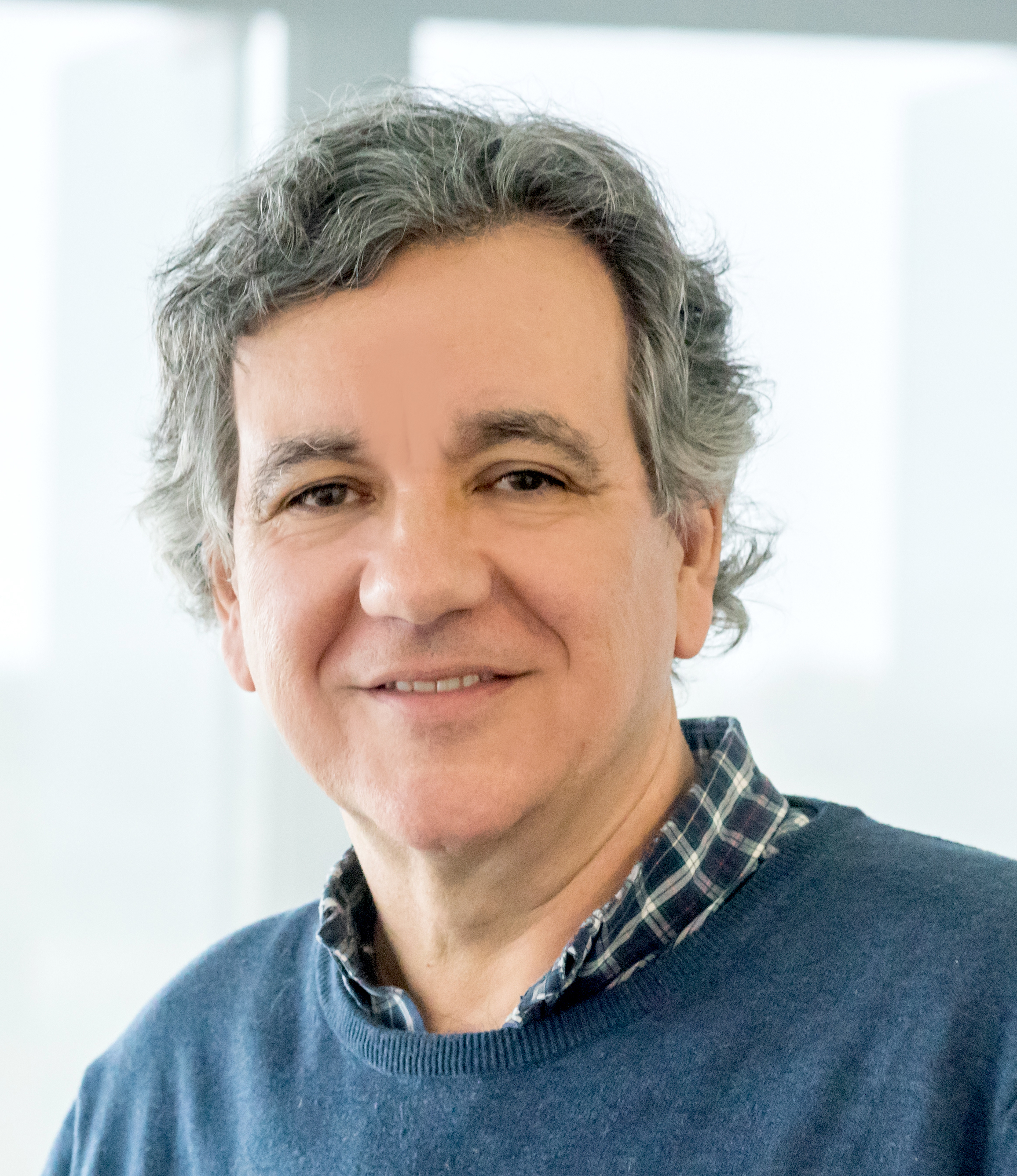 Manuel Hermenegildo